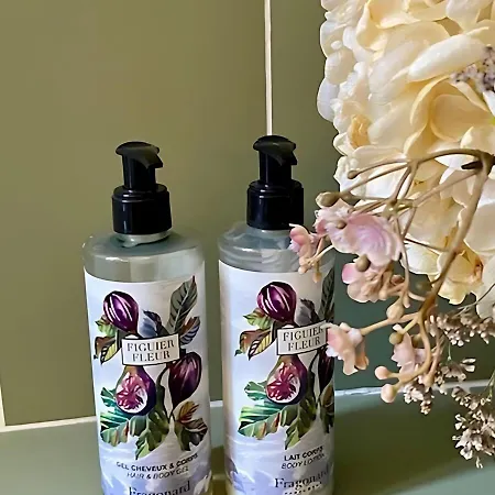 Chateau D'ermenonville 5* 에름농빌